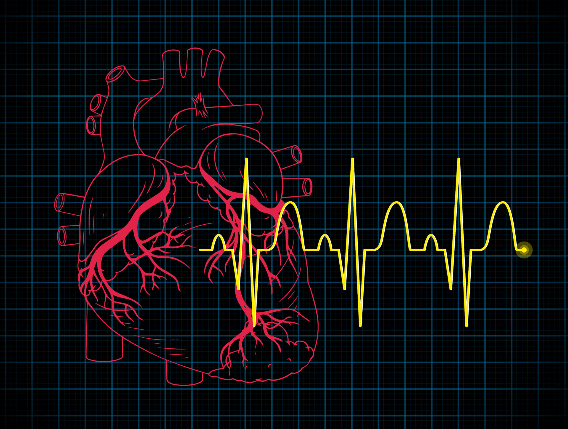 Heartbeats of Life: Wellness Lessons from the ECG
