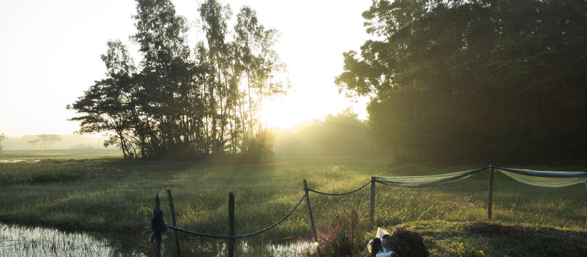 Sunrise through mist over open fields and still water